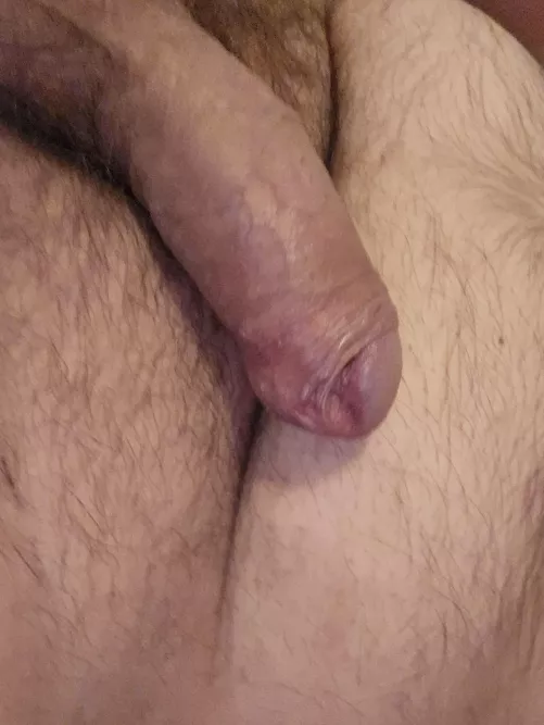 [33]A [M]orning stroll on Hard Wood lane. Accompany me ?