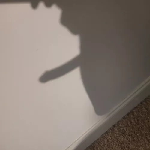 cock outline, in a way