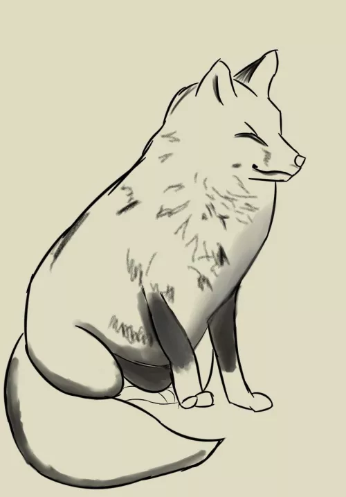 Fat fox sketch