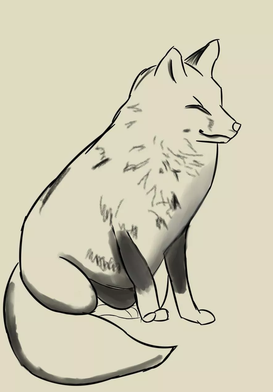 Fat fox sketch