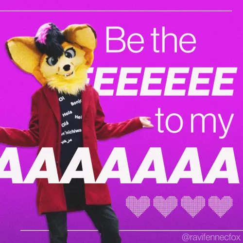 Fennecs on vday be like: