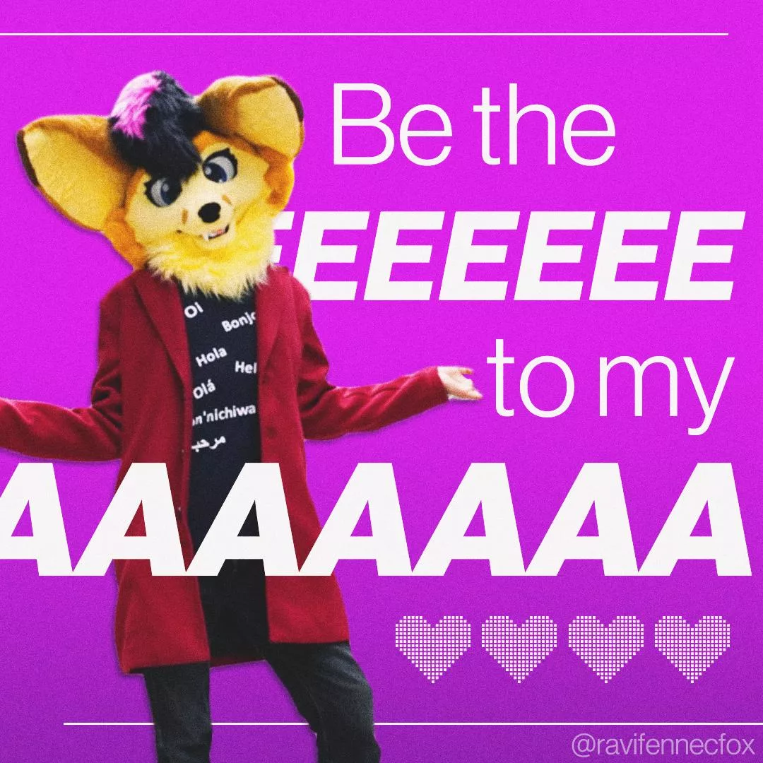Fennecs on vday be like: