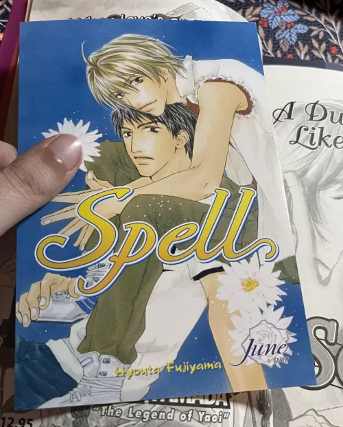 I found this random yaoi postcard in my copy of Stolen Heart!