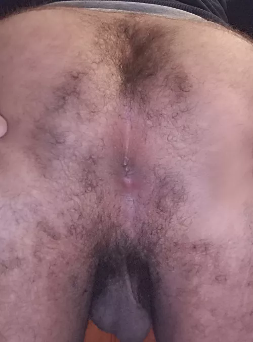 I wonder if my hairy butthole is appreciated here 🤔