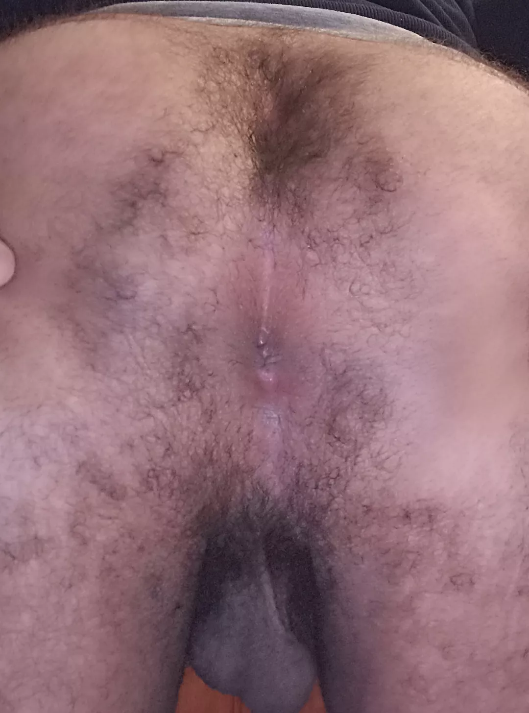 I wonder if my hairy butthole is appreciated here 🤔