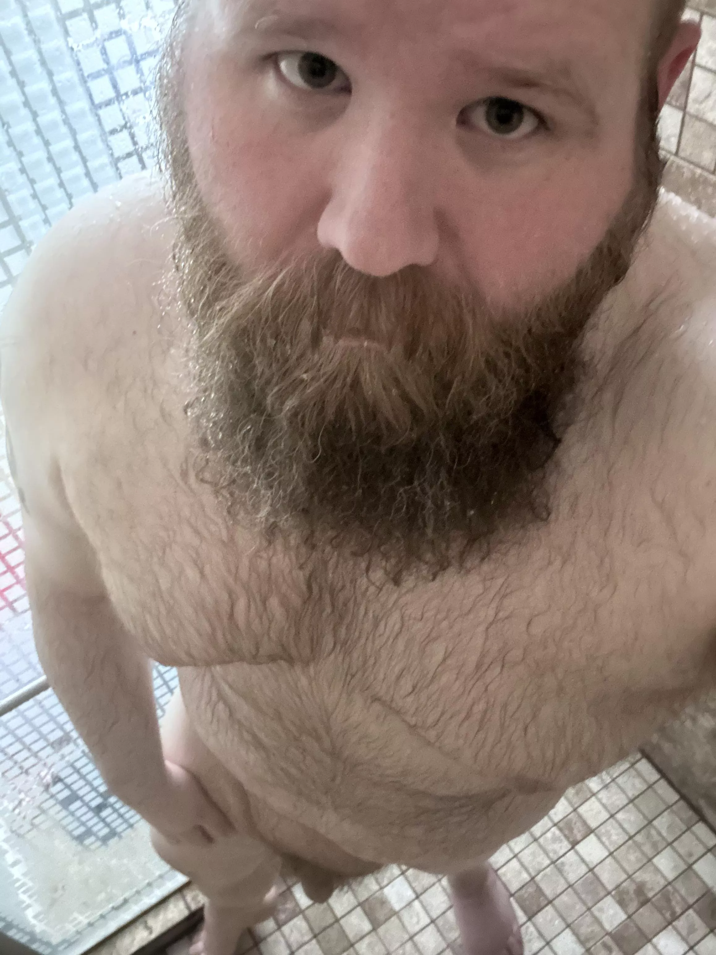 Let’s do try this again tonight