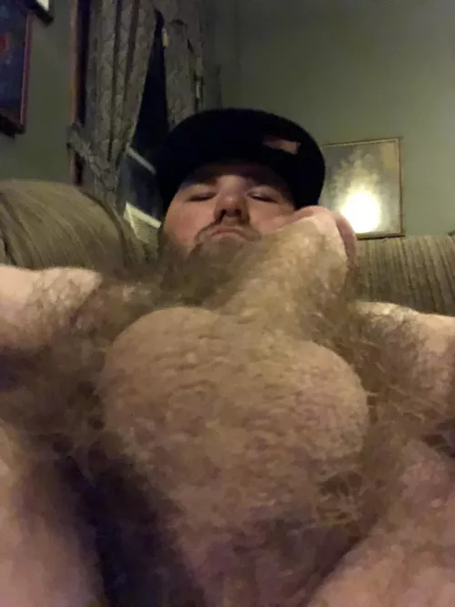 Say hi if you like hairy