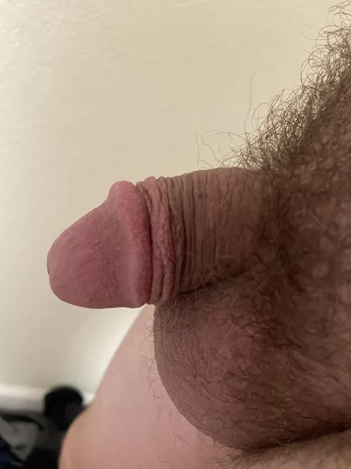 Shriveled up before my shower 🫣 really need to empty my balls. DM for pic trades if you have a really small dick too 😊