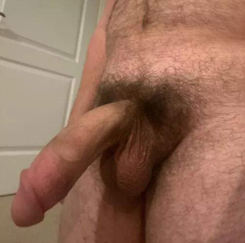 The bush provides some nice cushion