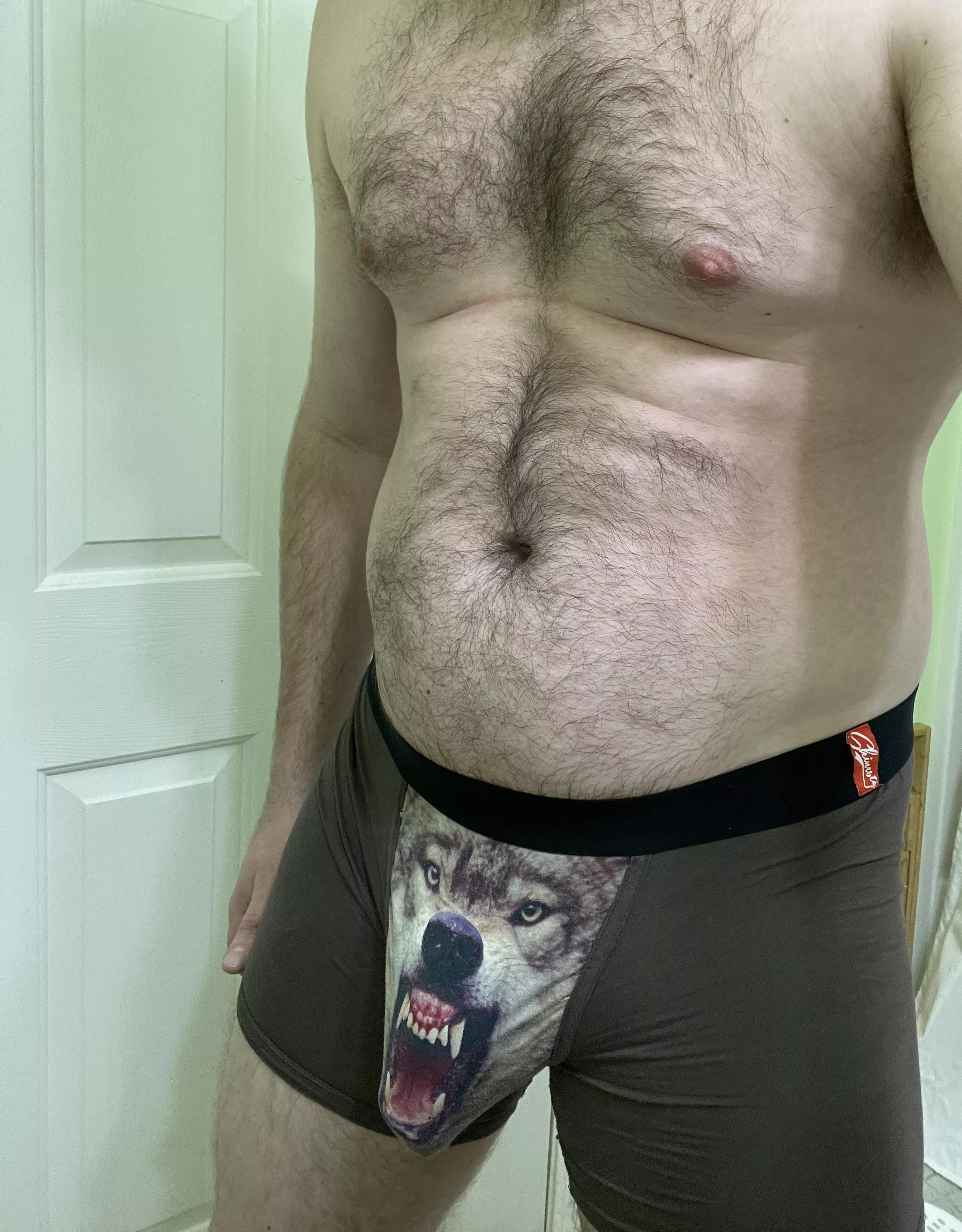 The wolf is hungry tonight