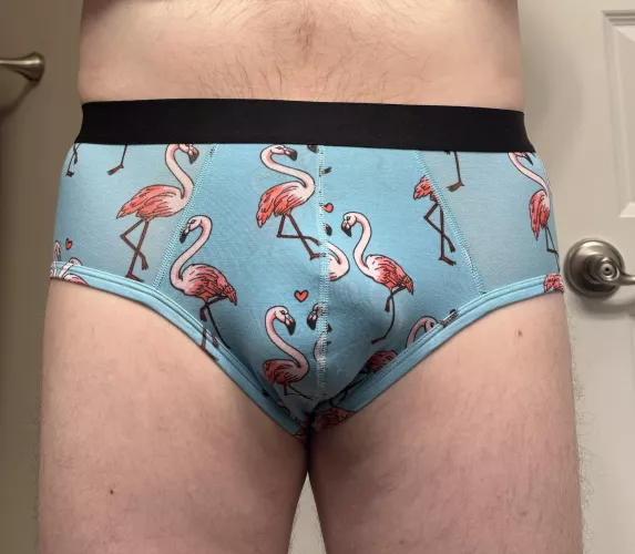 Valentine’s Day briefs