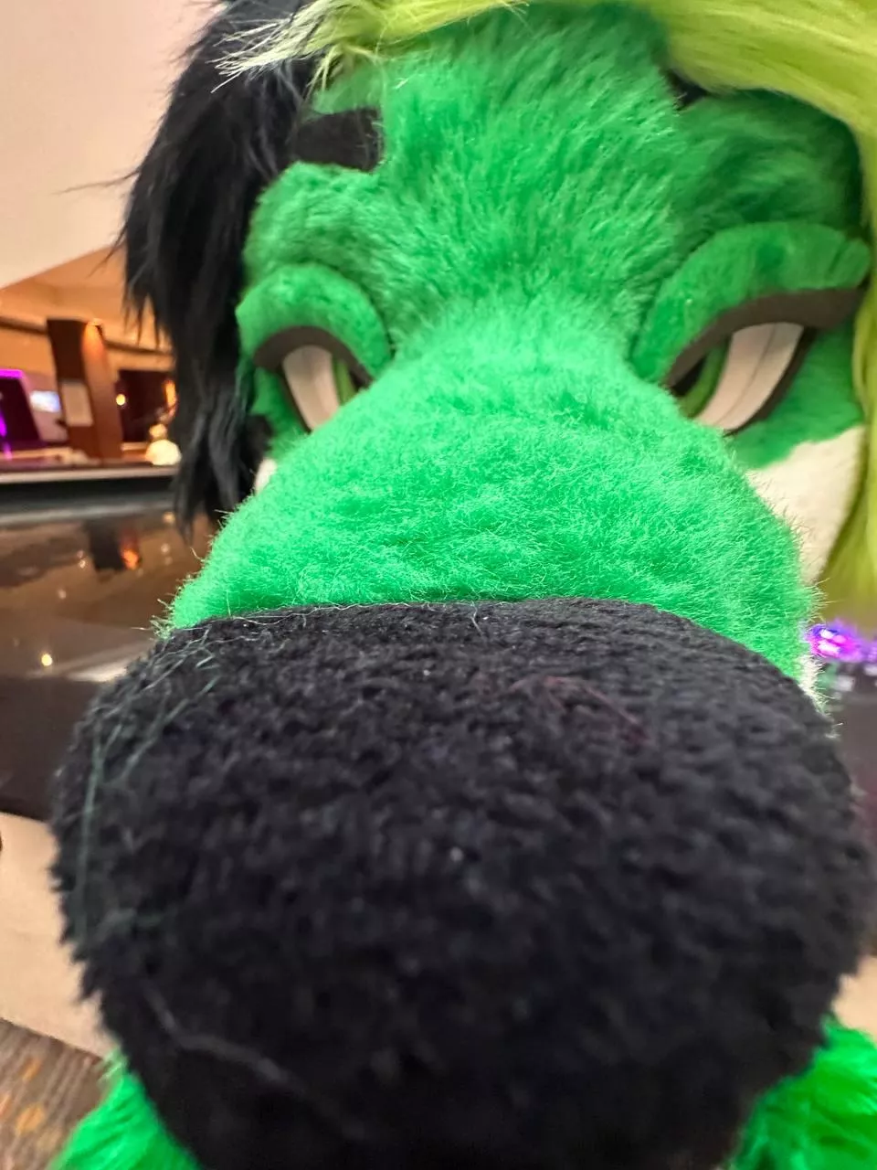 Would you boop the snoot?