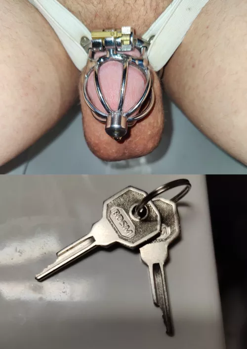 28/Male/Finland/Chastity 24/7. Where do i put my keys?