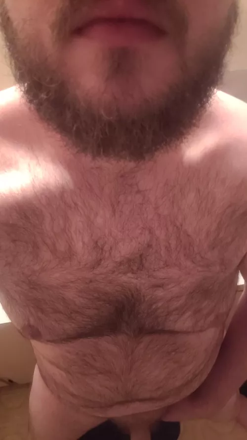 35 Hairy verse bear likes dirty chat and trade, into hairy bodies and beards, manscent, frot grind edging and gooning, every type of oral sex, verse sex, cockrings buttplugs and objects, and whatever else u can get me into, snap is osirisrae