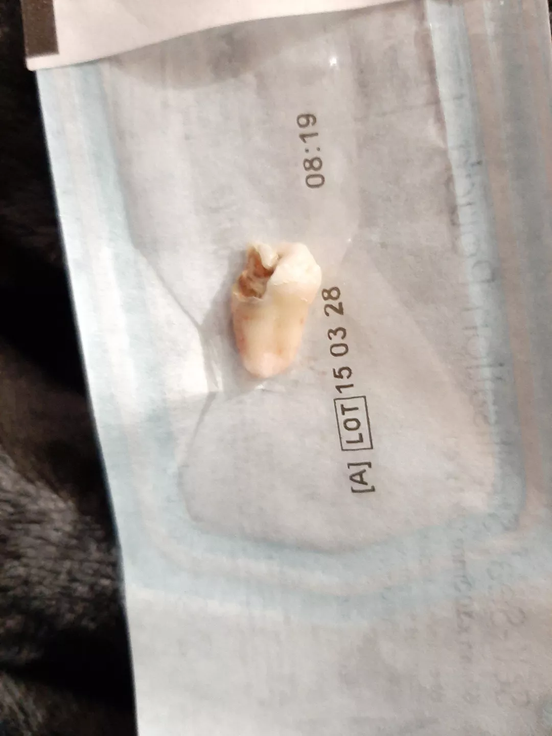 Behold, the Devil in a dental disguise.