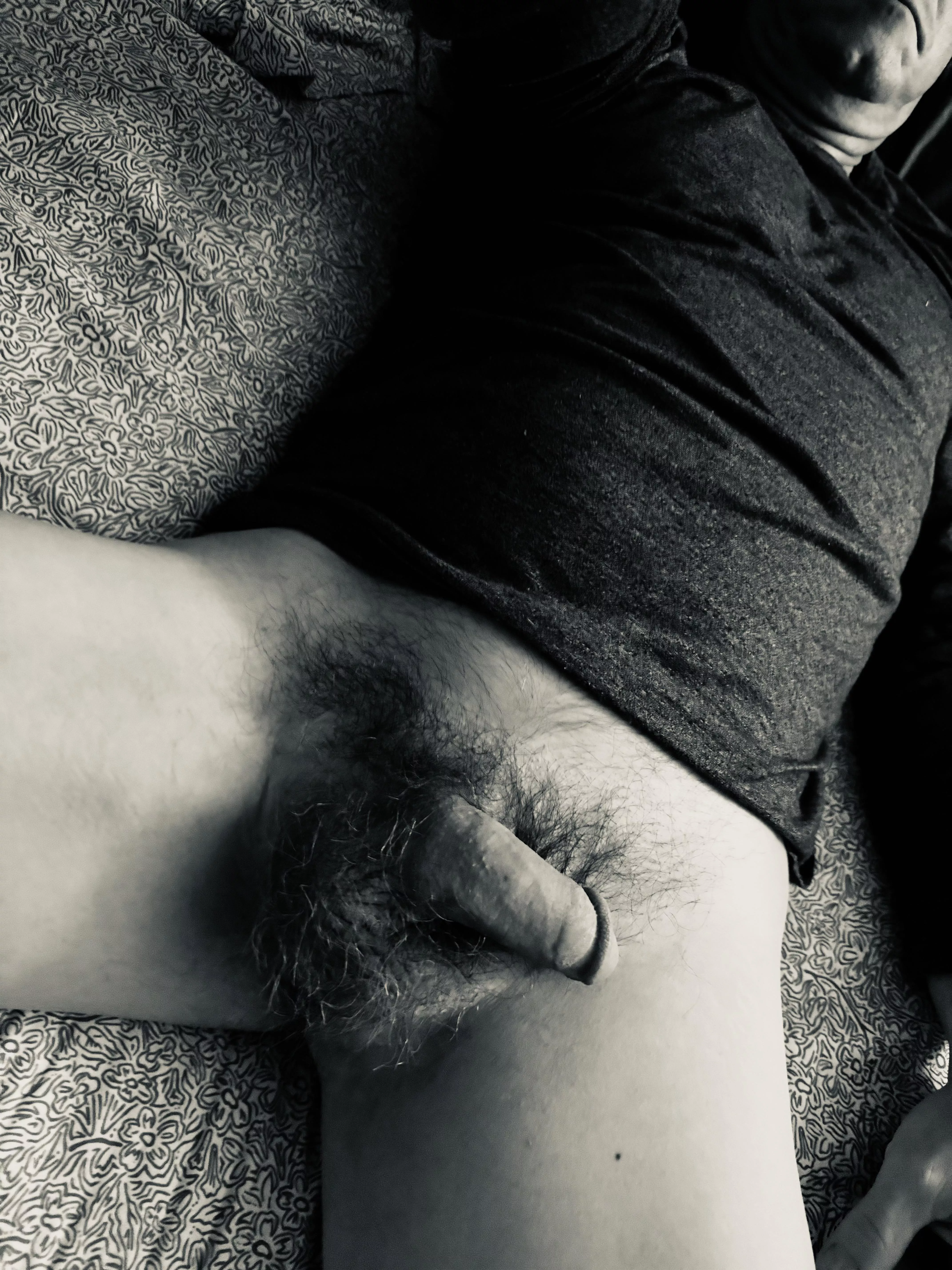 Care to take a stroll through the bush? 😇