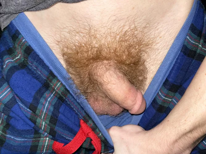 Do you like my soft cock?