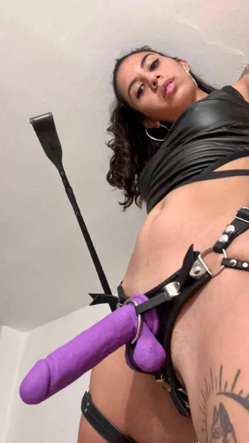 Either fuck it, suck it or get punished