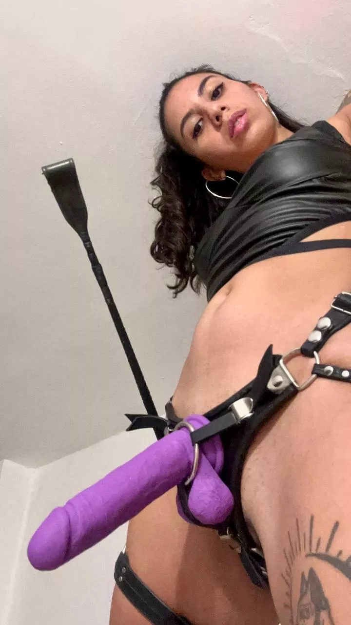 Either fuck it, suck it or get punished