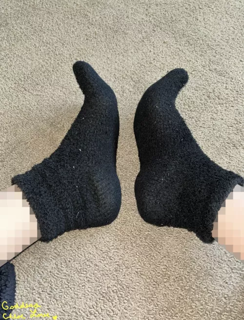 [F]23 smelly fuzzy socks