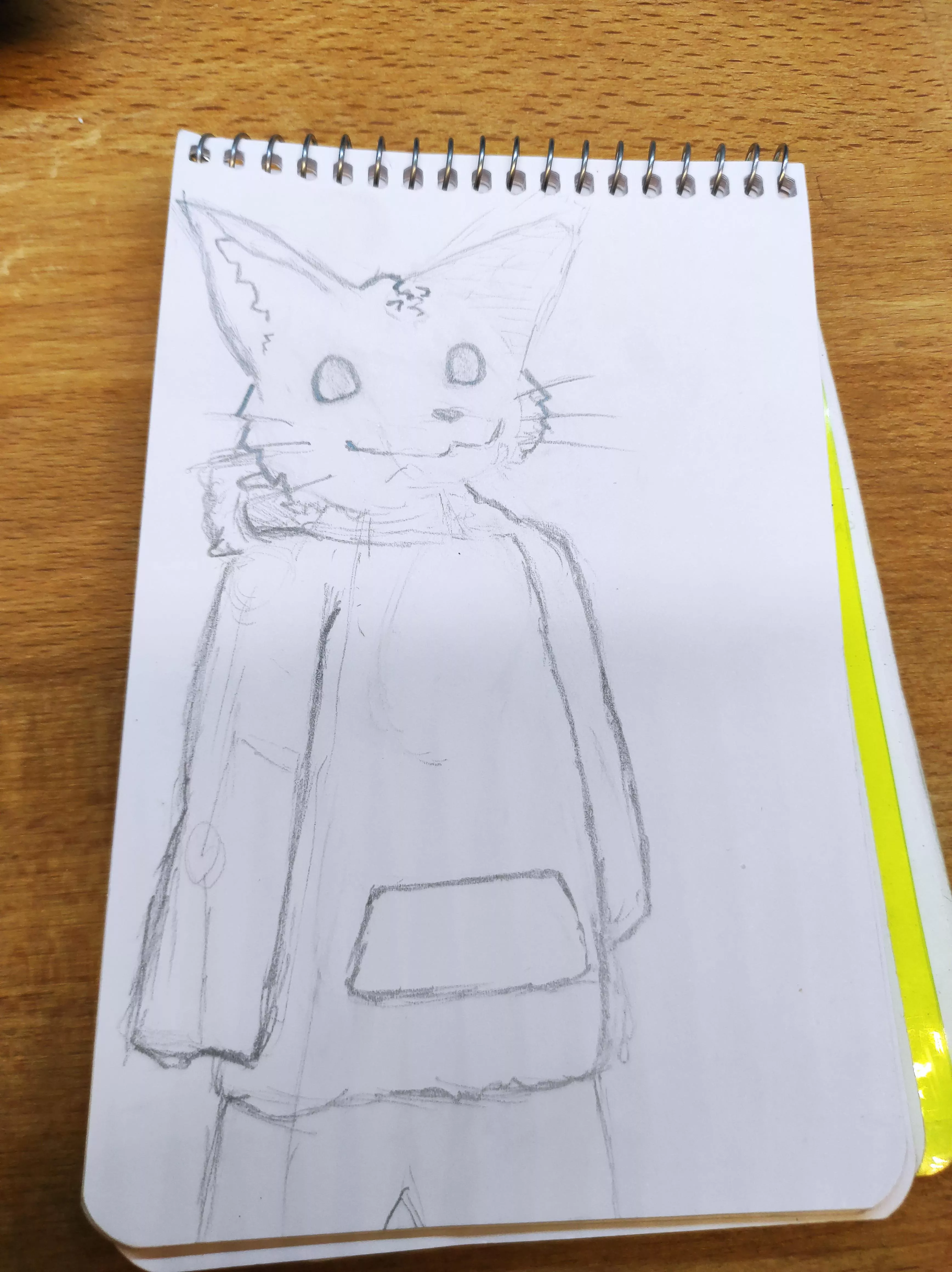 Help me with my sona!