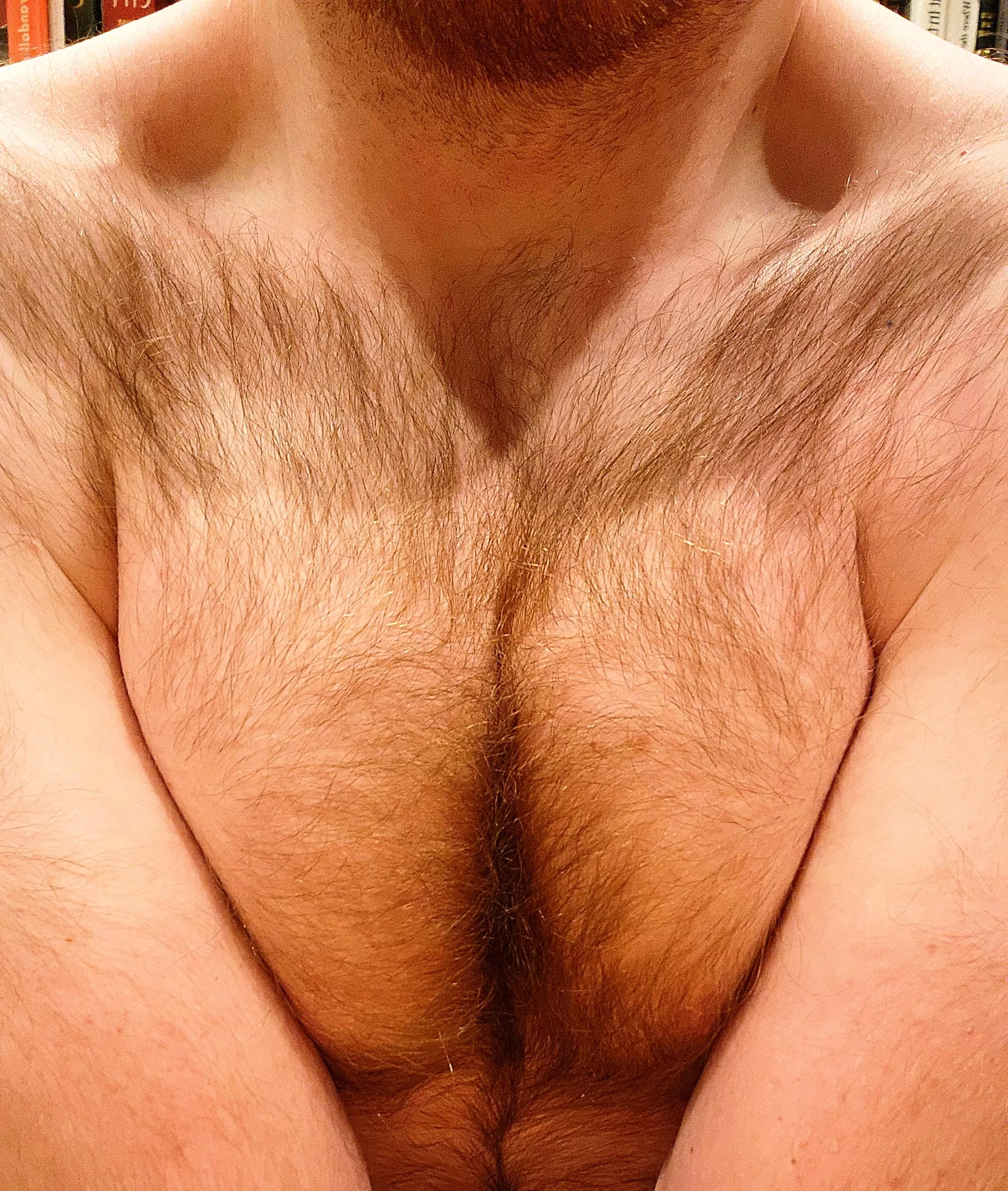 How do you like my Hairy Cleavage?