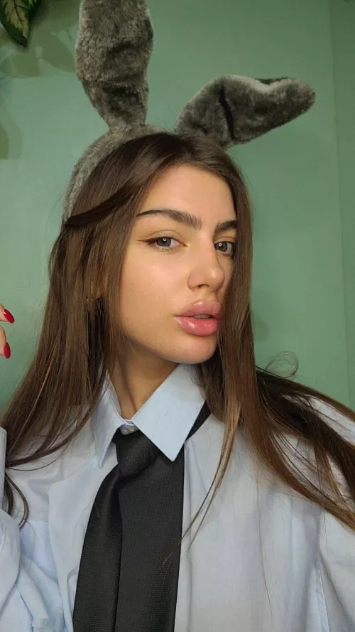 im just a cute kitten