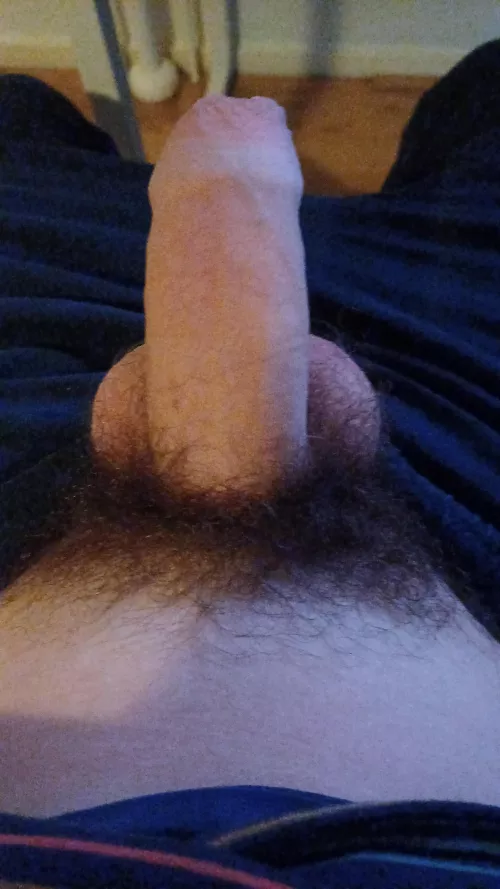 Keep the bush or shave???