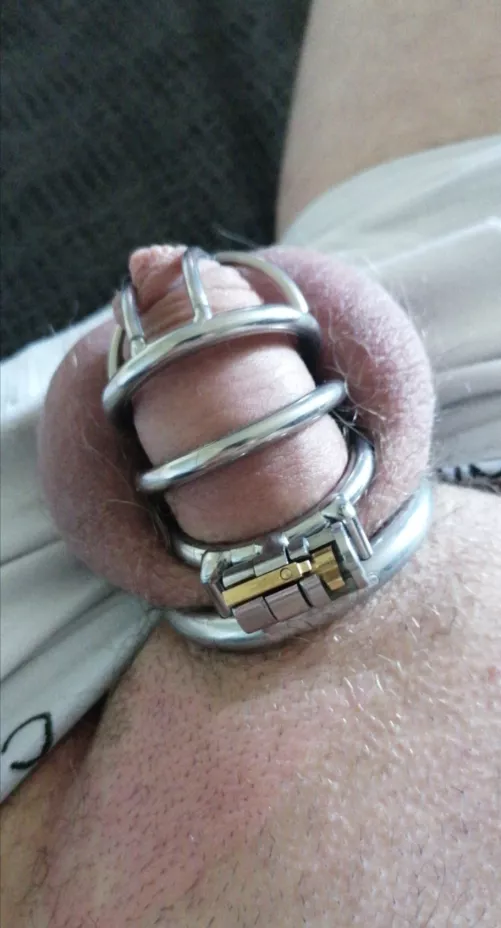 Locked and horny