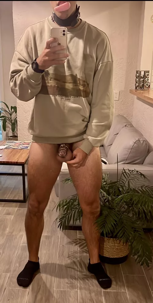 Pasando las horas en castidad y chupando un plug anal