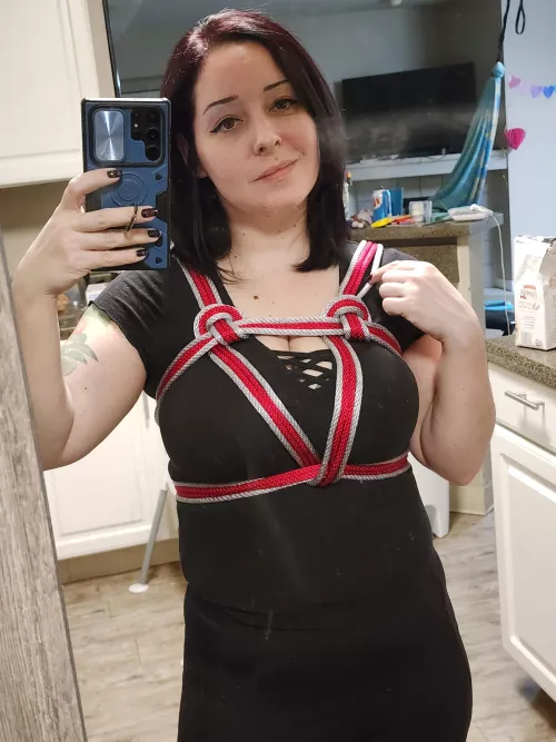 Red and silver chest harness