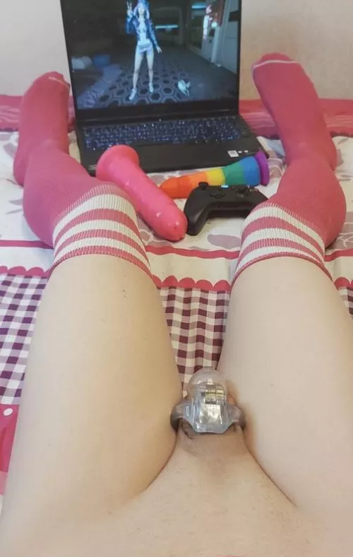 So many fun toys to play with