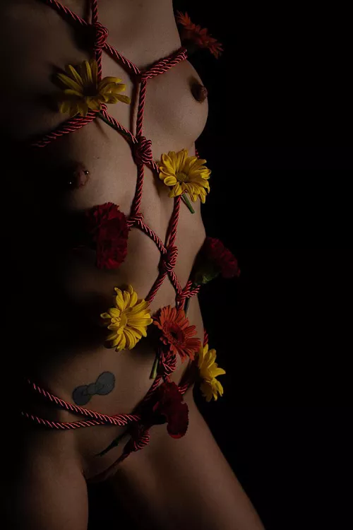 Some flowers for V Day