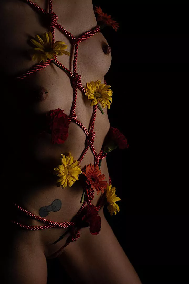 Some flowers for V Day