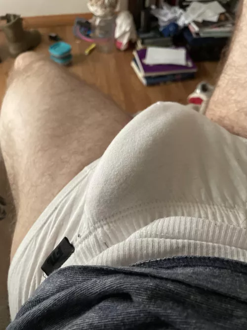 The tidey whitey shell of a beast