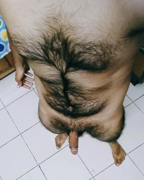 This indian bear needs some company to get it up