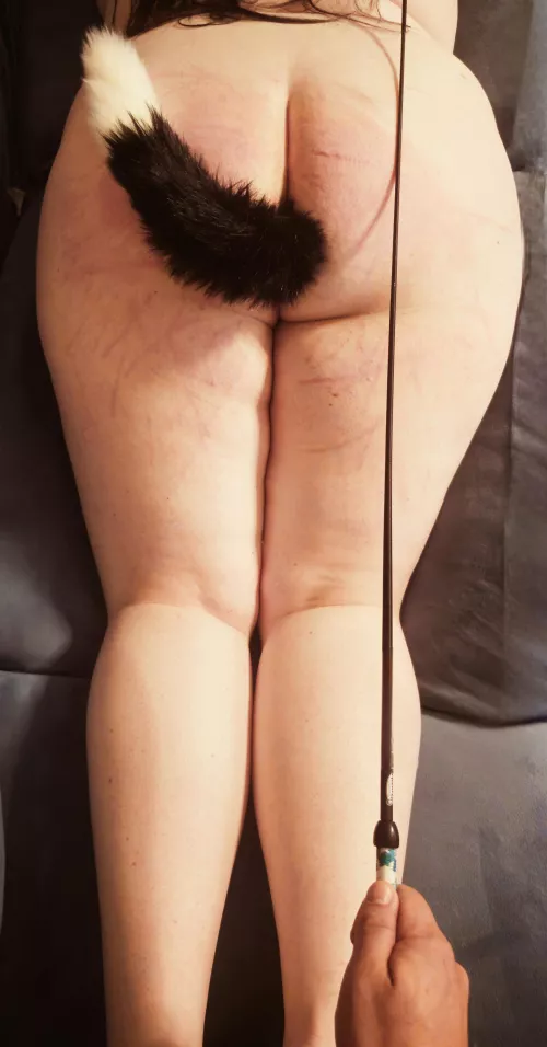 We had a fun session tonight ❤️ (MF)