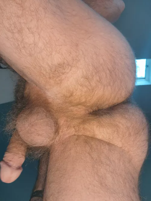 Who likes a hairy man ass?