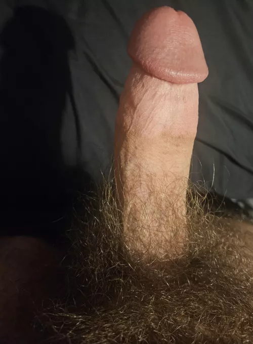 Wish your nose was stuffed in my bush