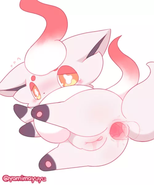 Zorua wants you to be gentle[F]