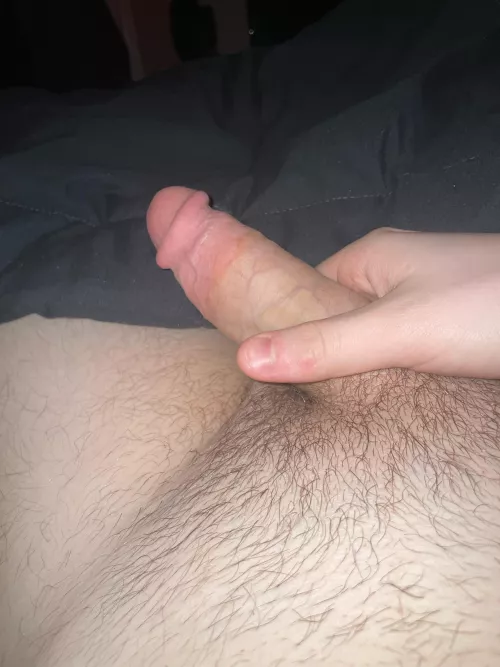 18 M I actually don’t know what to do I’ve never been with a guy but I’m so horny for a big beefy hairy white man it’s insane… btw I have a nice ass too ;) hit me up +dads +straight