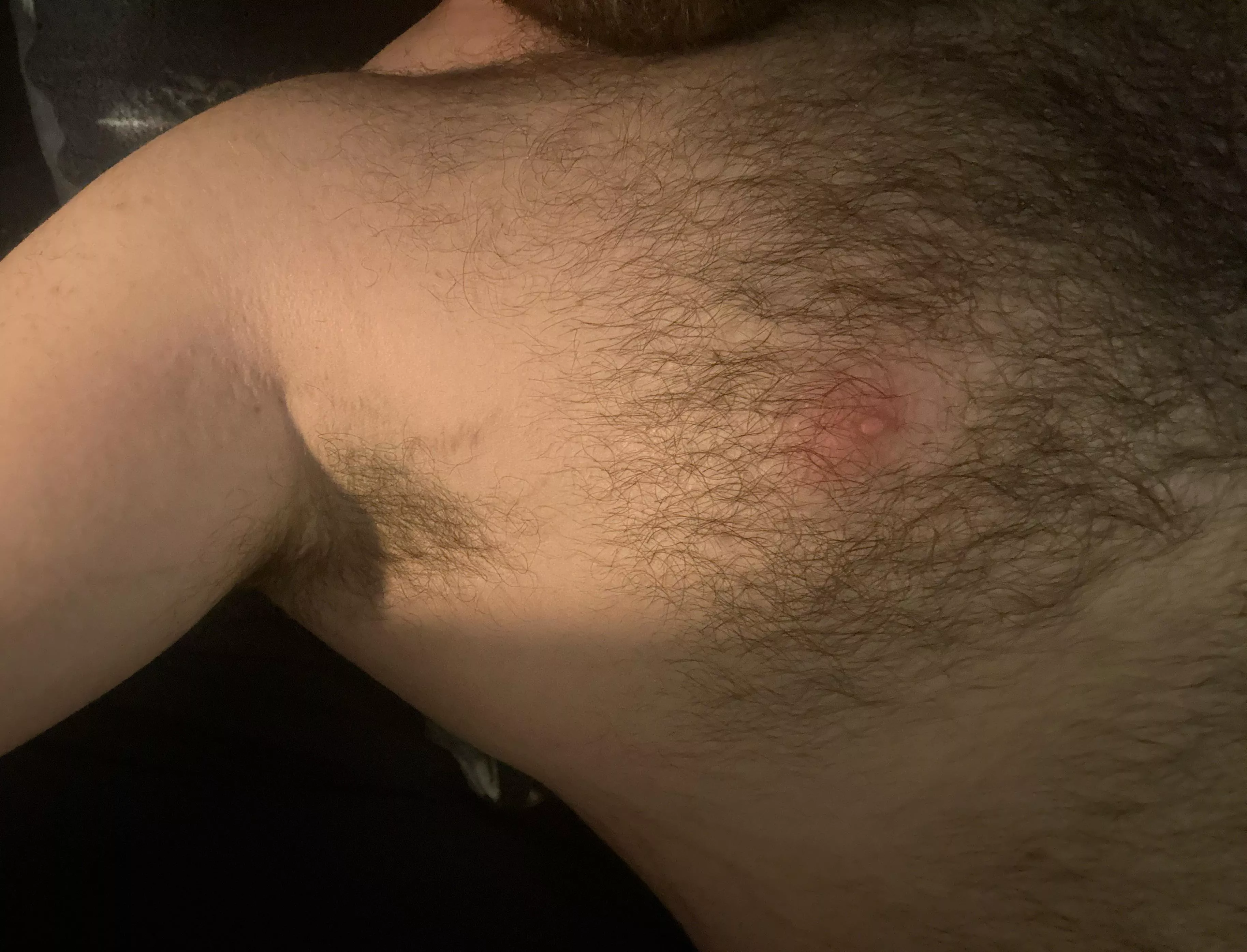30M hairy daddy, be 18+. SC: dutch_gaydaddy