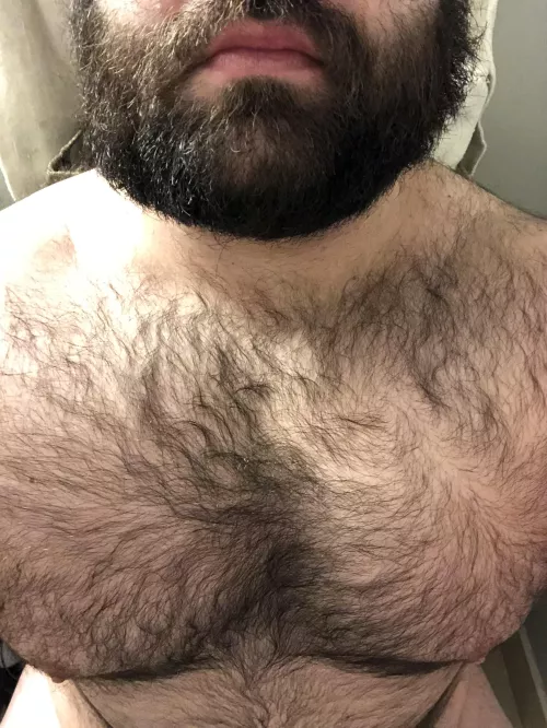 Hairy and chubby
