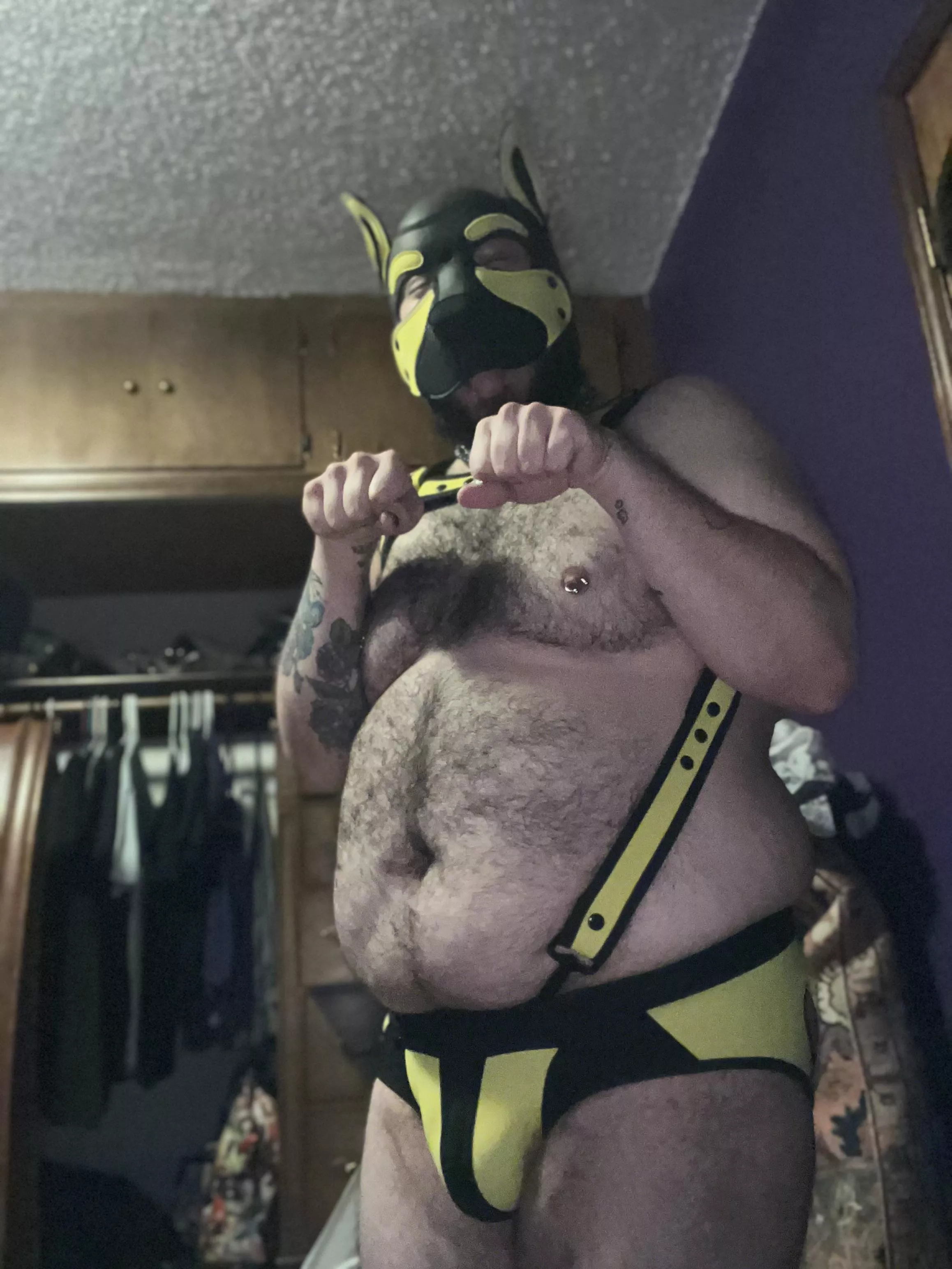 Happy Friday, fellow doggos!