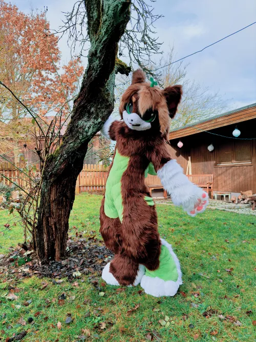 Happy Fursuit Friday