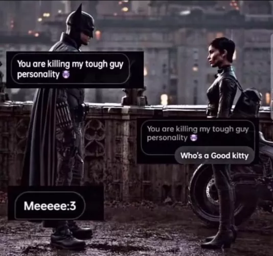 How am i supposed to save gotham city when she keeps on killing my tough guy personality 😔(serious answers only pls i have to fight the joker in like 20 min)