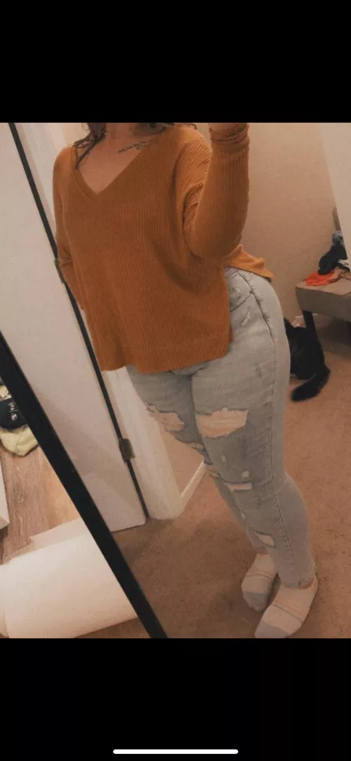 🍕🌮🍕🌮 I need a feeder