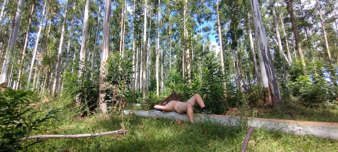 I went to spend the day at the workplace of some lumberjack friends and decided to take some time for myself.