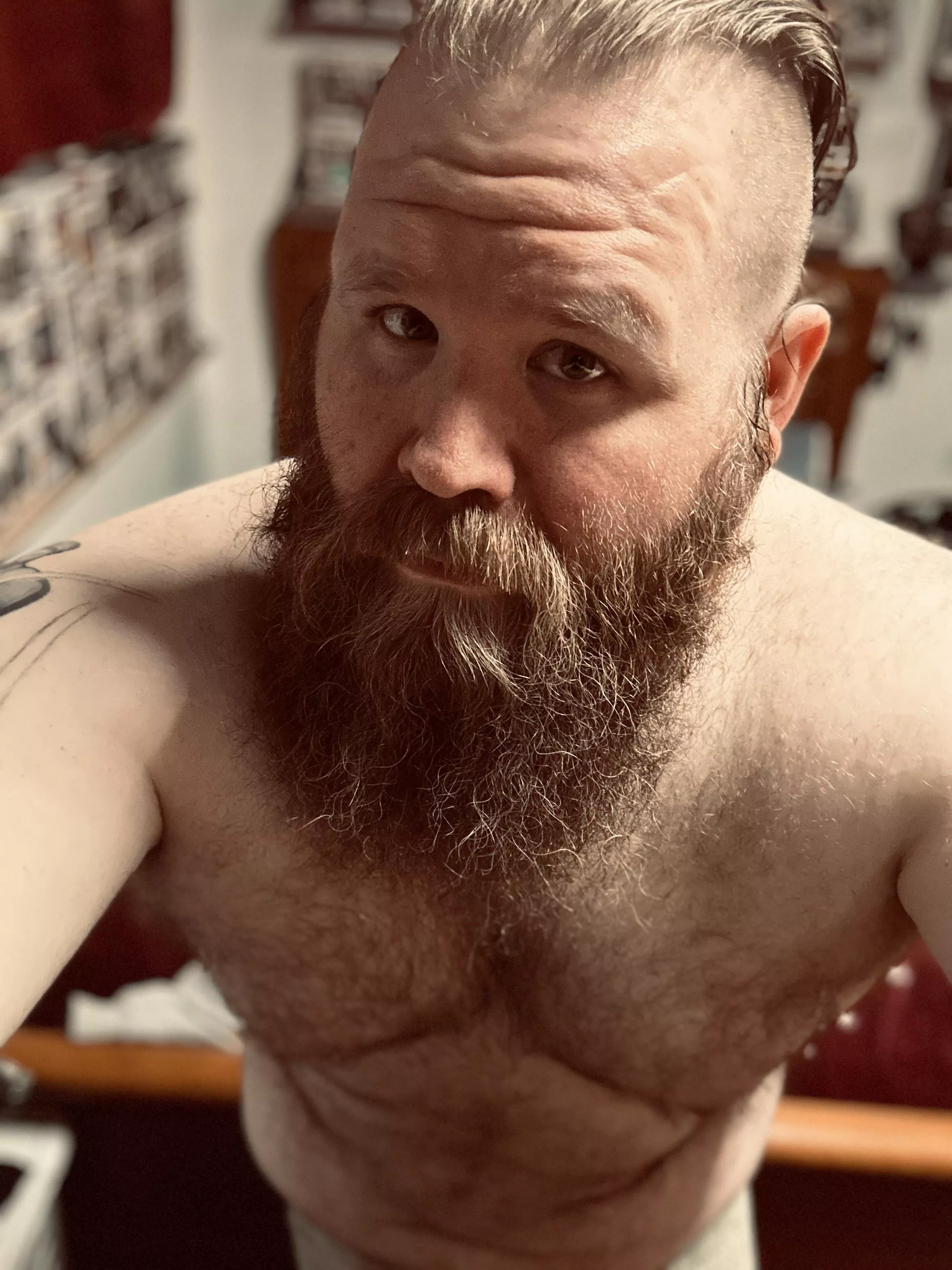 Let’s try posting here…I hope I don’t violate any rules