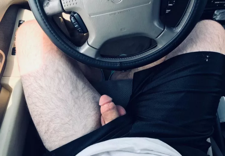 On lunch in the car. What would you do if you saw this walking by in the parking lot?